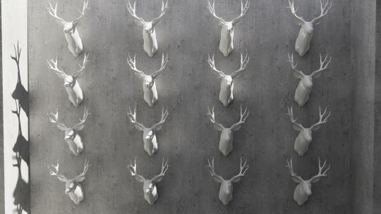 鹿头 鹿 狩猎 石膏 驯鹿 打猎 雕塑 鹿角
