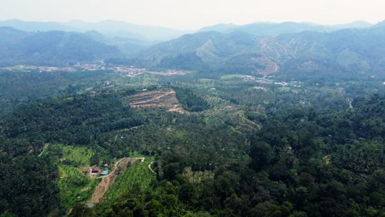 马来西亚劳勿县榴莲山航拍