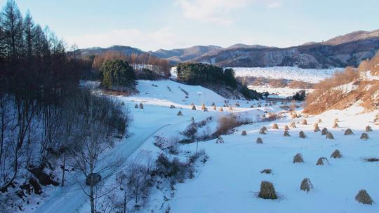 4k航拍雪后的山林