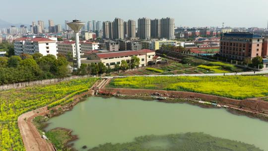 浙江义乌苏溪油菜花风光航拍合集