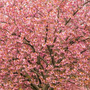 年会开场颁奖配乐-激昂史诗交响乐-震撼
