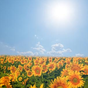 开着汽车去兜风