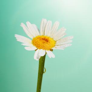 call me big country - 叫我大国