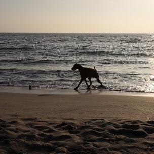 静谧办公钢琴曲 静谧办公钢琴曲