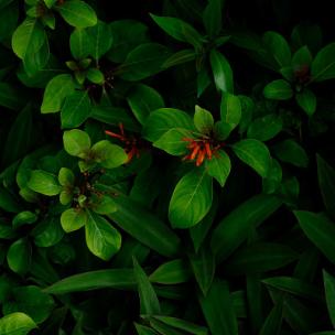 "心动瞬间·乐动心弦"