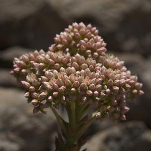 开场片头钢琴曲舒缓唯美背景配乐