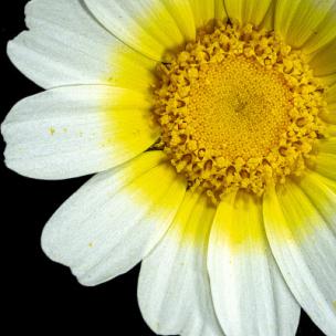 戏剧化的纪录片配乐