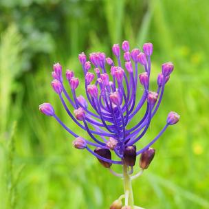 国风史诗宣传片开场音乐-大气激昂 国风史诗宣传片开场音乐-大气激昂