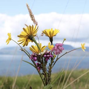 黑色幽默紧张滑稽卡通喜剧