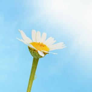 云起潮生-古风,中国风,大气