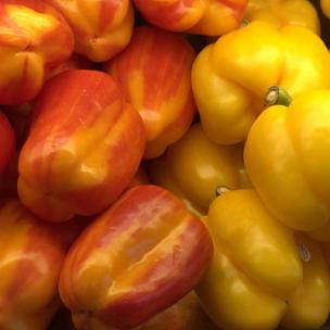 Santa Is Back - 圣诞老人回来了