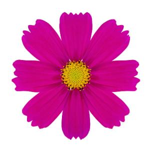 The End 02: 结局 02