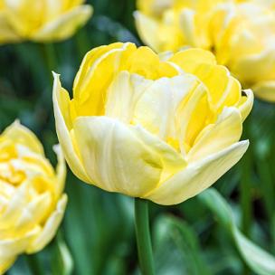 活力的运动节奏