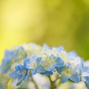 短视频Vlog片头轻快吉他 欢快活力节奏