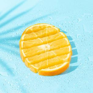 丛林中的鸟类 丛林中的鸟类