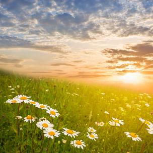 俏皮悬疑侦探爵士