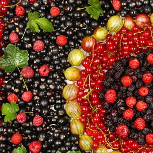 almost-got-away-full-mix几乎逃脱 almost-got-away-full-mix几乎逃脱