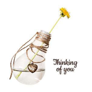 Change Your Mind (60s) - 改变你的想法（60秒）