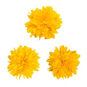 河水碰拍岸声 水花飞溅4 河水碰拍岸声 水花飞溅4