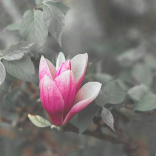 运动的旋律 运动的旋律