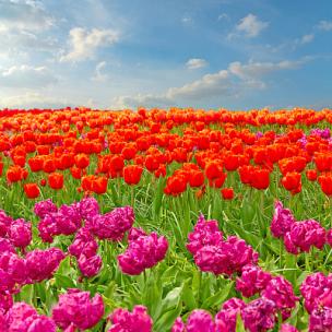 史诗电影预告片-紧张悬疑交响乐-大气磅礴