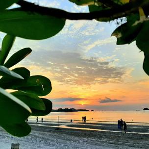 午后阳光：慢时光回忆主题曲