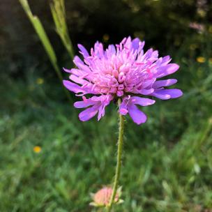 短视频快闪卡点配乐-轻快时尚紧张感