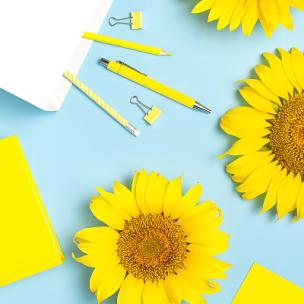 小米 拉杆行李箱 拉链