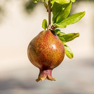 宣传片史诗开场曲-大气震撼激昂节奏