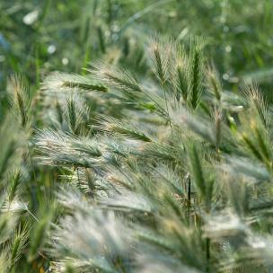 校园纪录片配乐-温馨感人叙事钢琴曲