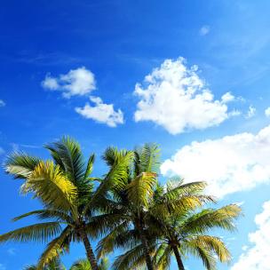 文艺电影独白-安静治愈钢琴独奏 文艺电影独白-安静治愈钢琴独奏