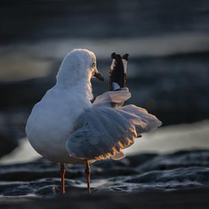 充满希望与力量的励志流行摇滚原声配乐