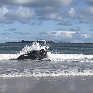 大气产品宣传片-卓越品质
