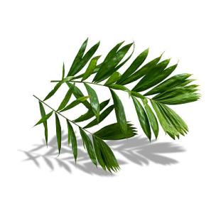 Gamble it - 冒险一试