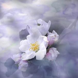 夜半心事 唯美伤感钢琴纯音