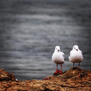 企业宣传 大气磅礴 慷慨激昂